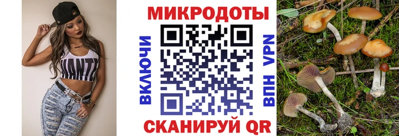 Галлюциногенные грибы мухоморы  Купить закладки  Печоры 